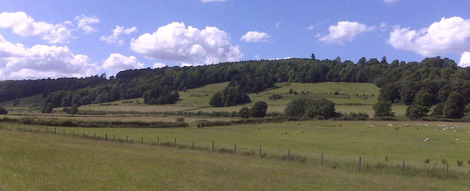 Sondes Meadows